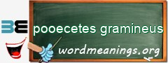 WordMeaning blackboard for pooecetes gramineus